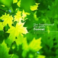 The fragrance of the green forest