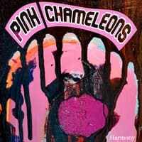 Pink Chameleons