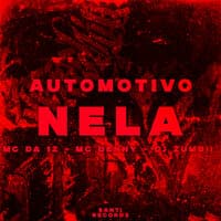 Automotivo Nela