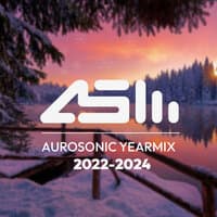 Year Mix 2022-2024