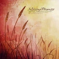 Missing Promise