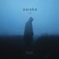 Awake