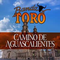 Banda Toro