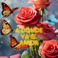 A Dónde Va el Amor