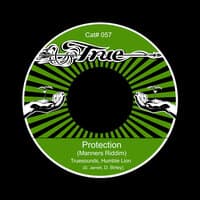 Protection (Manners Riddim)