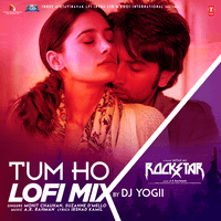 Tum Ho Lofi Mix