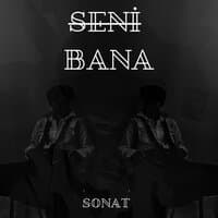 Seni Bana