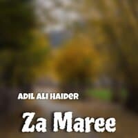 ZA MAREE