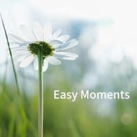 Easy Moments