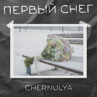 Первый снег