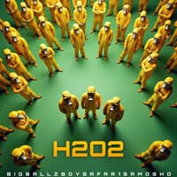 H202