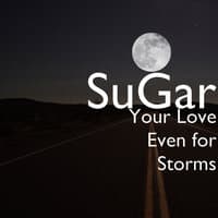 Your Love Even for Storms