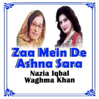 Zaa Mein De Ashna Sara