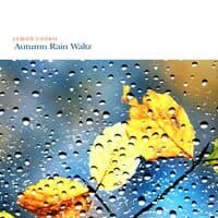 Autumn Rain Waltz