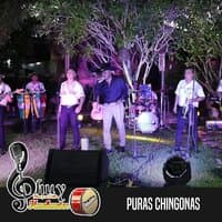 Puras Chingonas