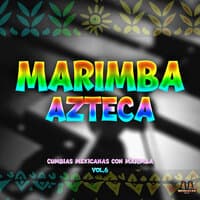 Cumbias Mexicanas Con Marimba Vol. 6