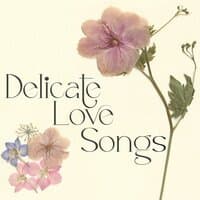 Delicate Love Song