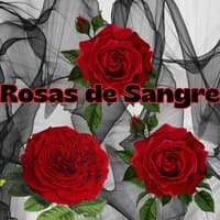 Rosas de Sangre