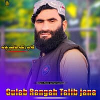 Gulab Rangah Talib jana