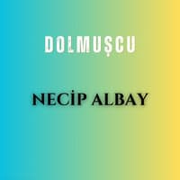 Dolmuşcu