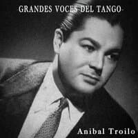 Grandes Voces Del Tango