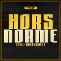 Hors norme