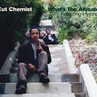 What's the Altitude  [Cut Chemist vs. The Astronauts]