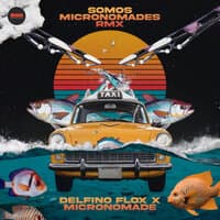 Somos Micronomades Rmx