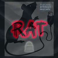 RAT