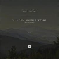 Aus dem Böhmer Walde, Op. 68: No. 5 in D-Flat Major 'Waldesruhe'. Lento e molto cantabile (Arr. for Cello and Orchestra)