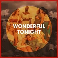 Wonderful Tonight