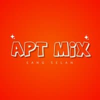 DJ APT MIX