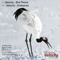 Velocity