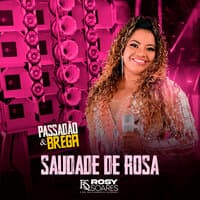 Saudade de Rosa - Passadão e Brega