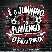 É o Juninho do Flamengo o Faixa Preta