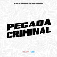 Pegada Criminal