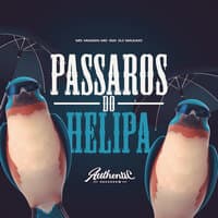 Passaros do Helipa