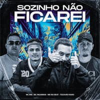 Sozinho Não Ficarei