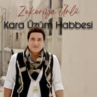 Kara Üzüm Habbesi