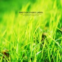 Piano collection that is comfortable to listen to in the morning