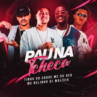 Pau na Tcheca