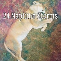 24 Naptime Storms