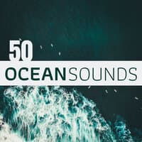 50 Ocean Sounds - Nature Music, Speaking Sea Crashing Waves