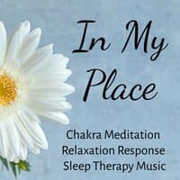 In My Place - Chakra Meditation Relaxation Response Sleep Therapy Music with Instrumental Zen New Age Sounds