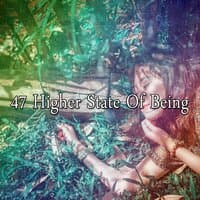 47 Higher State Of Being