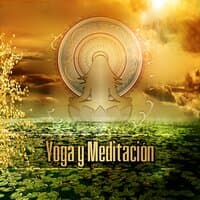 Yoga y Meditación - La Práctica del Yoga, la Paz y la Calma Interior, Meditar y Sentirse Bien, Sonidos de la Naturaleza, el Equilibrio del Cuerpo, los Ejercicios de Pilates y Tai Chi