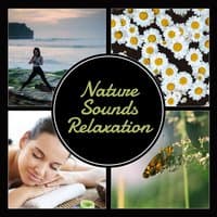 Nature Sounds Relaxation – Total Tranquility, Morning Meditation, Inner Power, Blissful Sleep Therapy, Spa & Wellness