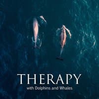 Therapy with Dolphins and Whales: Calm and Deep Underwater Sounds