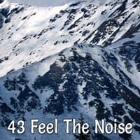 43 Feel The Noise