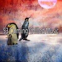 53 Calming Chilled Music